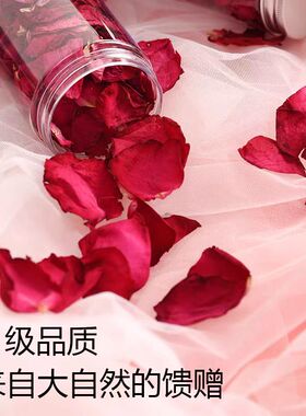 外用无硫中药材泡酒大红月季花瓣