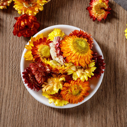 100朵自然七彩真干花雏菊多品种diy材料包装饰相框幼儿园手工制作 - 图0