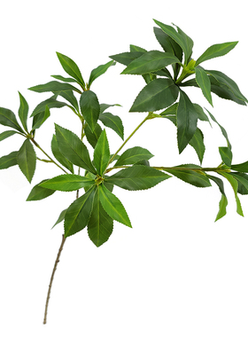 高档仿真绿植马醉木单支吊钟批发