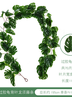 森系婚礼过胶龟背叶空调缠绕藤蔓