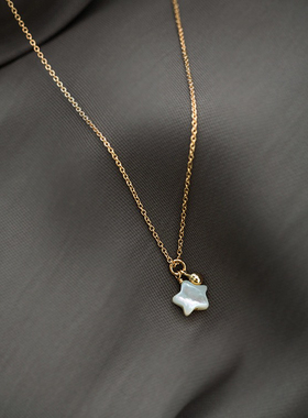 惊小鸿北极星S925银镀18K金幻彩白蝶贝简约美学风锁骨纯银项链