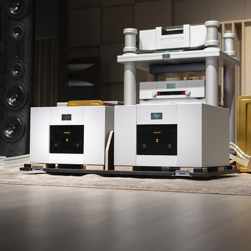 瑞士Goldmund高文Telos 2500NG单声道后级功放高端发烧行货正品 - 图0