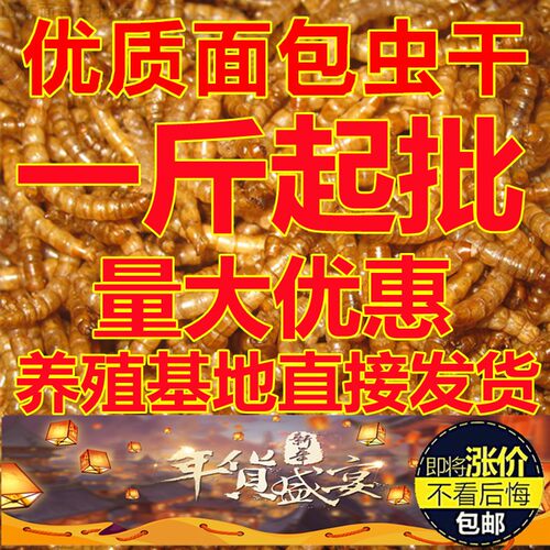 山东面包虫黄粉虫烘干面包虫干仓鼠龙鱼鸟类饲料一斤包邮 - 图2