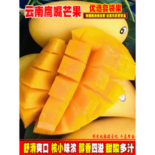 云南鹰嘴芒黄皮芒果5斤