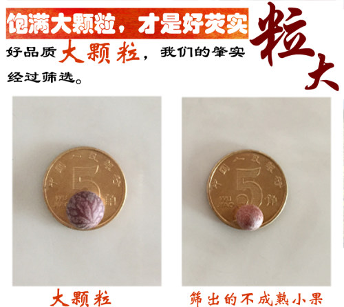 26年新货肇庆芡实鸡头米干货500g特级农家自产新鲜茨实开边四神汤 - 图3