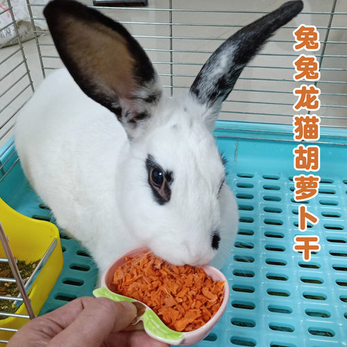 兔子磨牙零食兔兔仓鼠龙猫荷兰猪豚鼠天竺鼠蔬果脱水营养胡萝卜干 - 图2