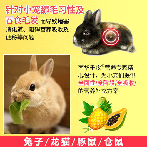 宠物兔子木瓜丸化毛膏片仓鼠龙猫木瓜片化毛丸排毛球营养品小零食 - 图3