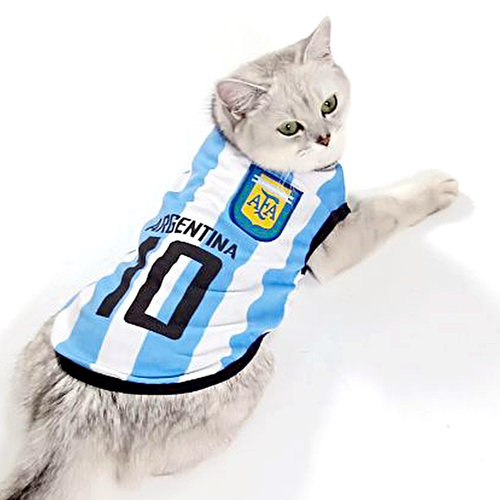 网红小猫咪衣服宠物猫潮牌春夏季薄款可爱背心式英短春秋蓝猫夏天 - 图3