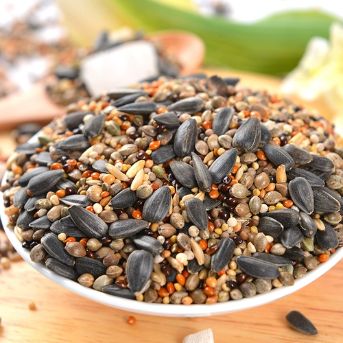 Птичья пища попугай птицы тигр кожаная корм