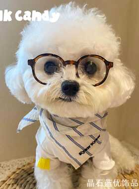小型犬雪纳瑞比宠物狗狗猫咪眼