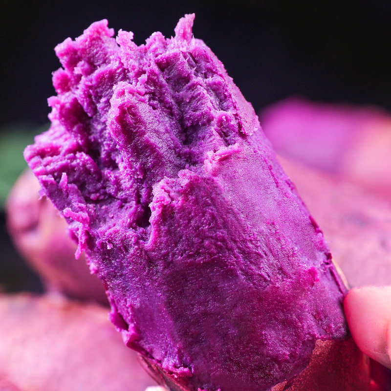 新鲜农家自种包邮糖心蜜薯板栗红薯 沁园春水果番薯