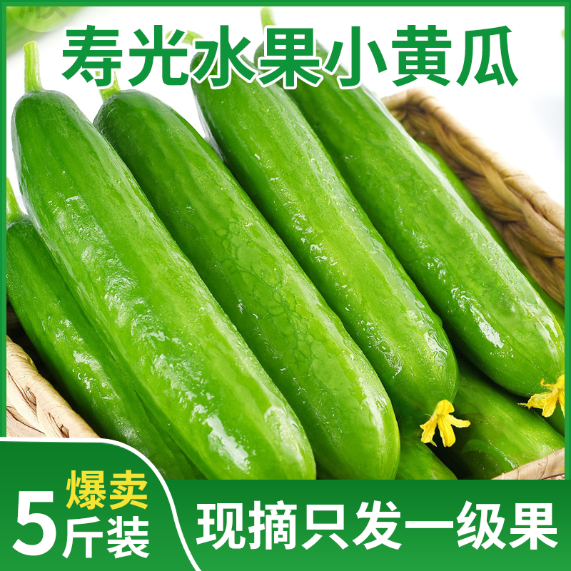 新鲜蔬菜水果黄瓜生吃脆新鲜5斤青瓜荷兰当季脆嫩蔬菜农家