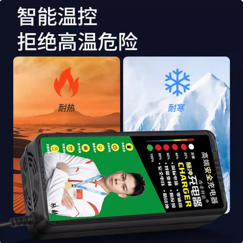 适用绿源电动车48V12AH60V20AH72VT铅酸两竖原装版充电器自动断电 - 图2