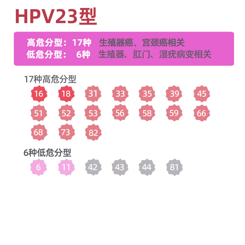 HPV体检HPV检测自检HPV分型定量检测HPV检查尖锐HPV检测TCT检测 - 图2