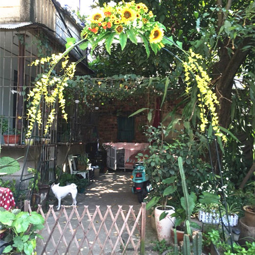 拱门花架植物攀藤架园艺支架百香果葡萄丝瓜爬藤架楼顶种菜爬藤 - 图2