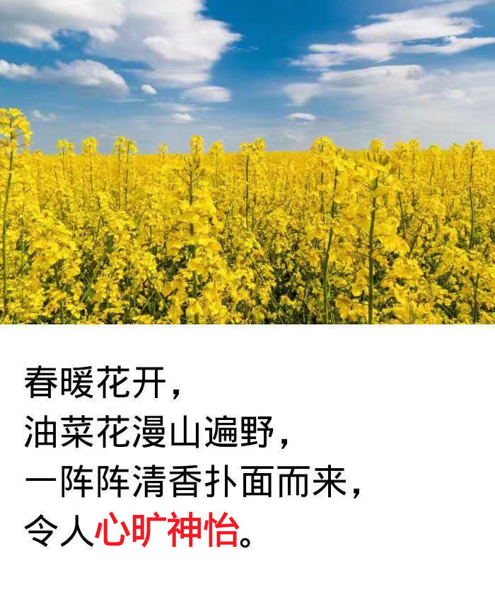 形容词 看图学说话 训练卡片 低年级扩句子儿童语言发育迟缓康复