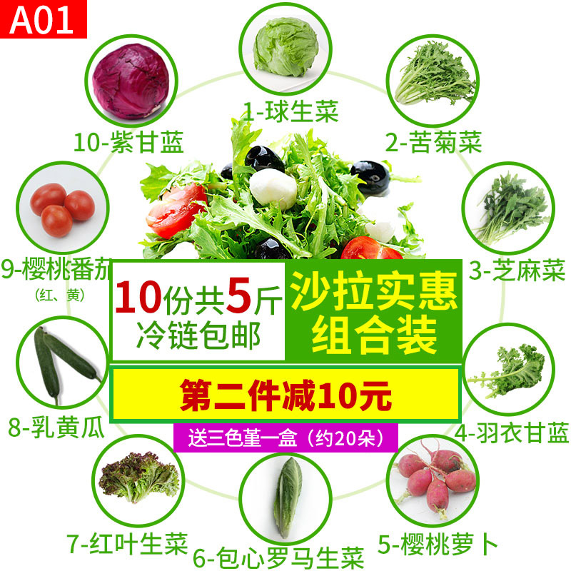 新鲜生菜混合沙拉5斤包邮 组合生菜色拉菜  3/5斤 即食新鲜沙拉菜 - 图0