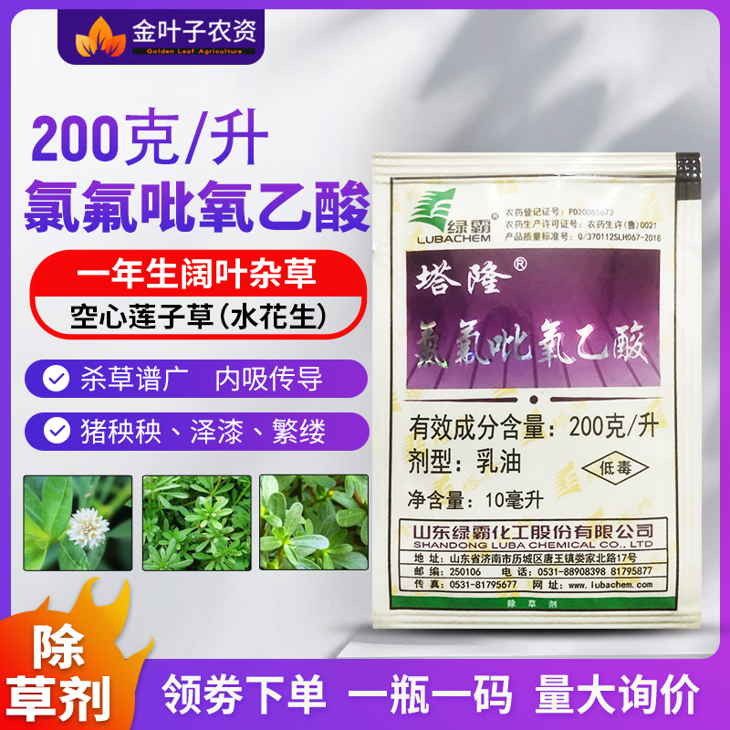 塔隆氯氟吡氧乙酸水花生猪殃殃空心莲子草阔叶杂草除草剂农药-图0