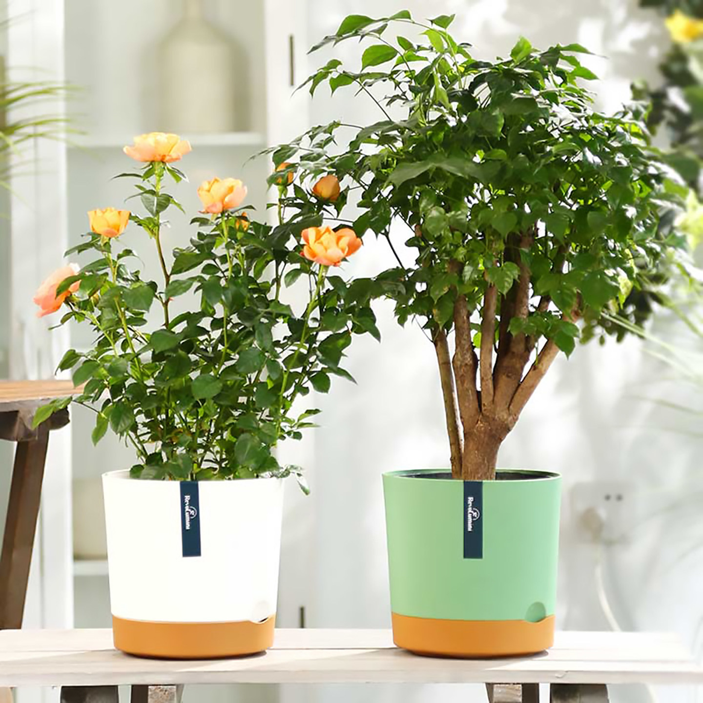 北欧简约小花盆家用桌面多肉绿萝盆栽阳台月季绿植控根轻奢高级感,淘宝优惠券,粉丝福利购,淘宝优惠卷