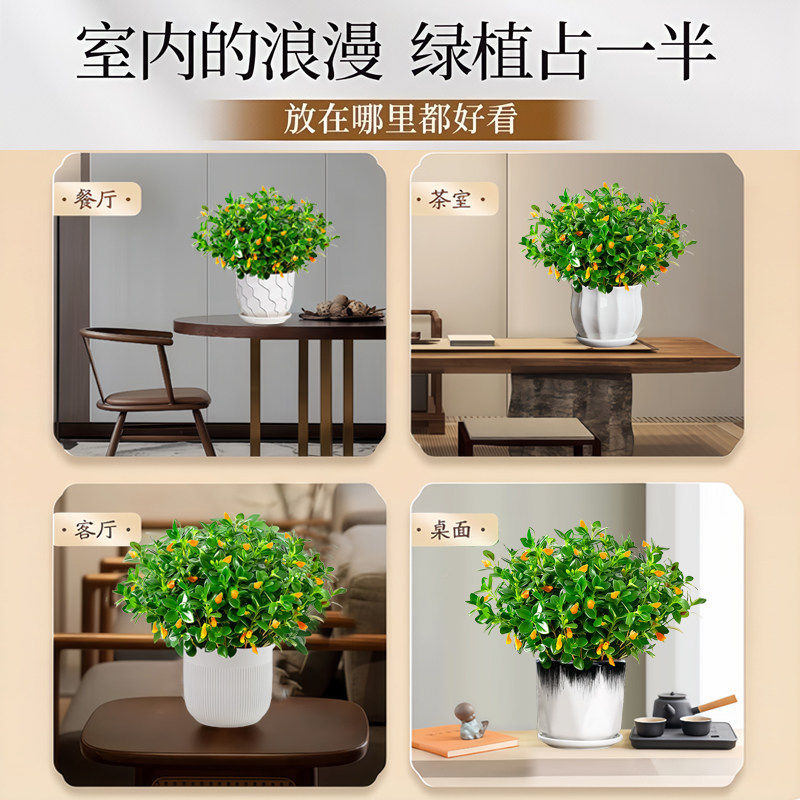 金鱼吊兰盆栽带花苞室内花卉绿植办公室桌面旺宅植物盆景四季好养,淘宝优惠券,粉丝福利购,淘宝优惠卷