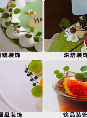 【买一盆用一年】千叶吊兰绿植垂吊观叶面包烘焙糕点缀四季常青