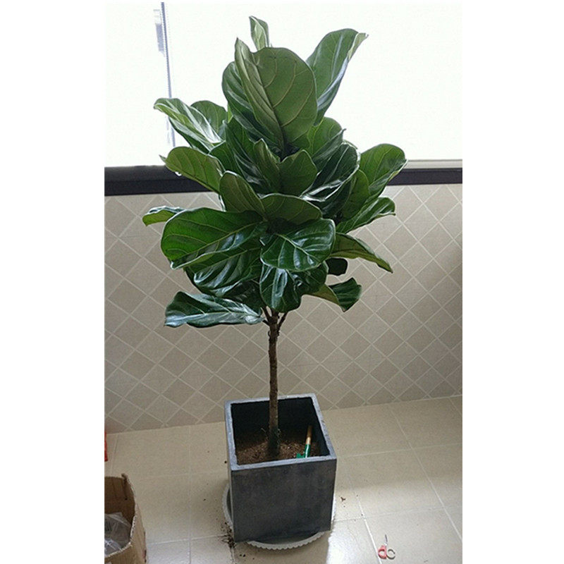 勇士新秀中锋波斯特：高助力球队内线重塑(勇士队签约波特)