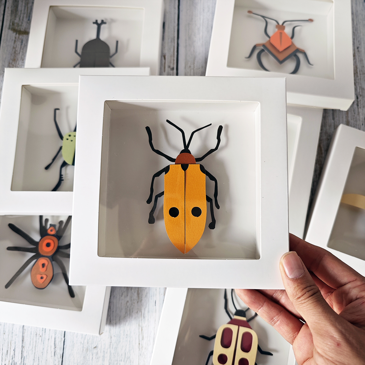 昆虫标本自然生物课学生儿童手工diy制作材料包益智蜘蛛立体艺术 - 图2