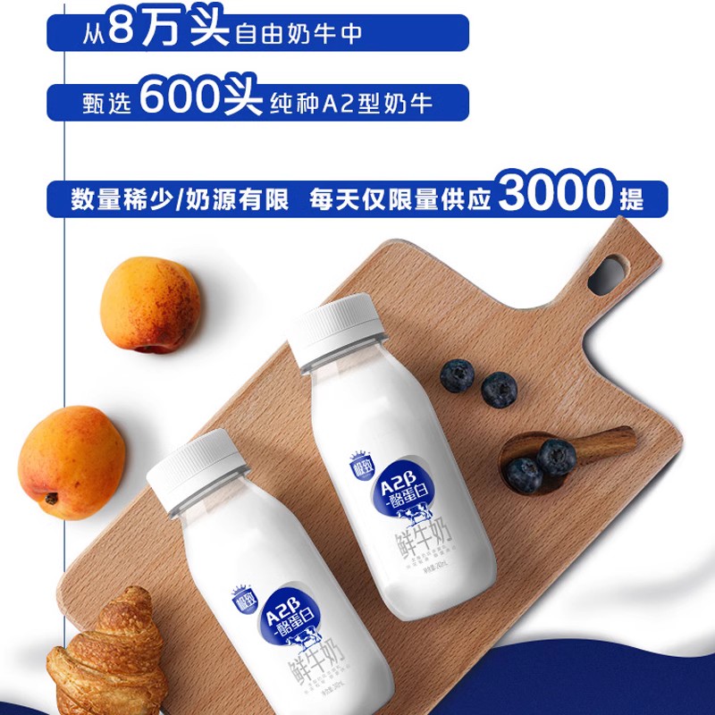 【预售10天发货】三元极致A2β-酪蛋白巴氏杀菌低温牛奶240ml*5瓶 - 图1