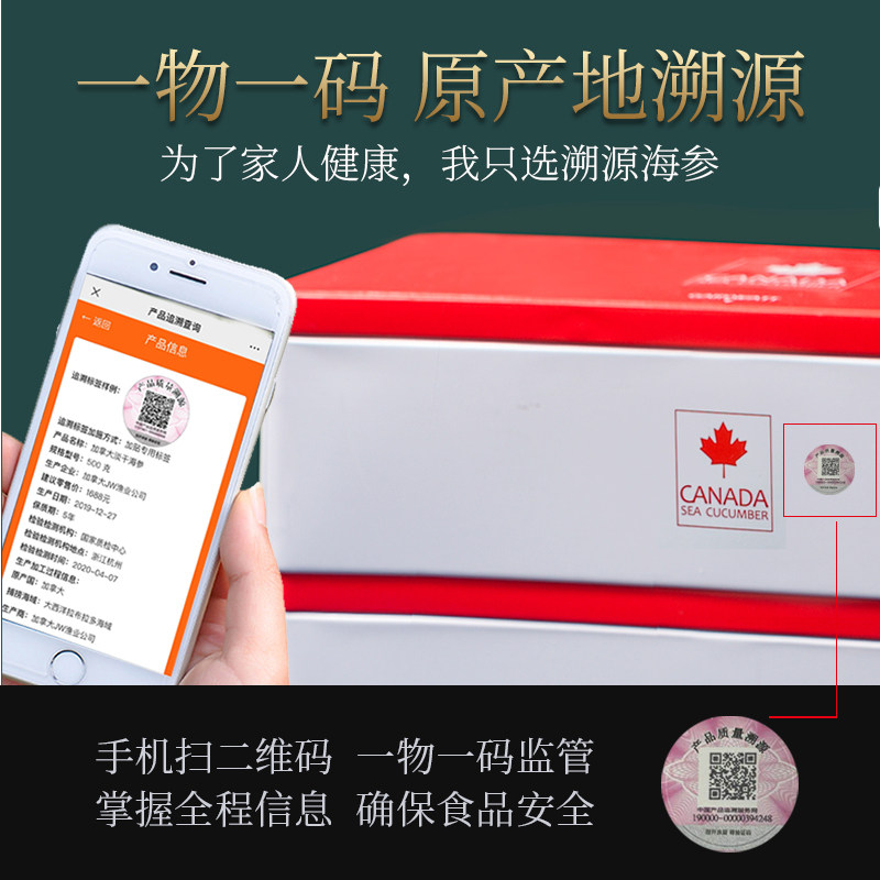 加瑞华加拿大北极海参干货红极参 加瑞华海参
