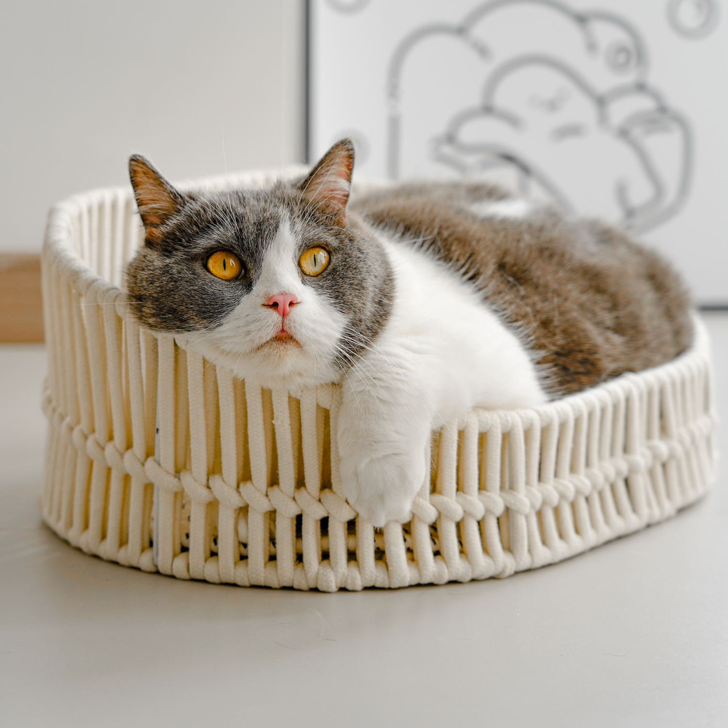 手工棉绳编织牢固不塌棉麻猫窝结实耐用简约颜值铁艺椭圆形开放式 - 图3