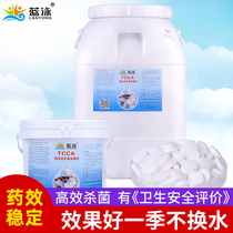 Swimming Pool Sanitizing Sheet Bath Pool Special Chlorine Sheet Blue Swimming Chlorine Cyanuric Acid Swimming Pool Disinfection Powder Effervescent Tablets