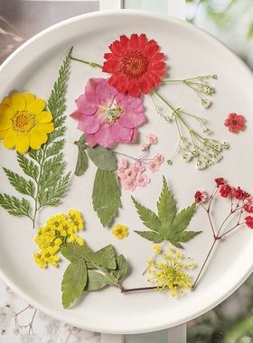 diy相框蜡烛压花标本干花装饰