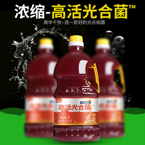 光合细菌菌种调水质ph值氨氮稳定水色光合细菌培养基母液水产养殖 - 图2