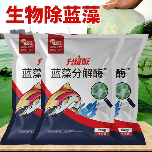 蓝藻分解素分解酶分解精水产养殖小龙虾蟹鱼塘除蓝藻颤藻净毒速灭 - 图2