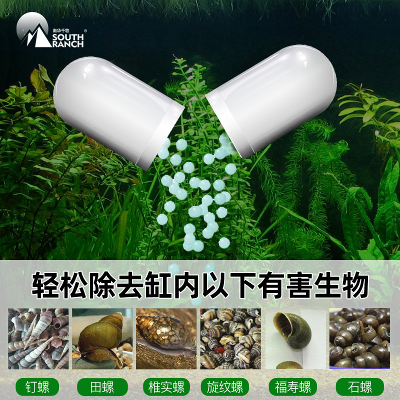 鱼缸除蜗牛 新人首单立减十元 21年10月 淘宝海外