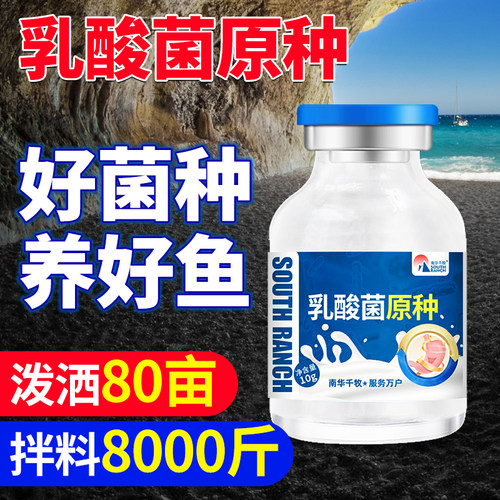 乳酸菌原种水产养殖专用菌种鱼塘虾蟹塘调水净水调节肠道降低ph值 - 图0