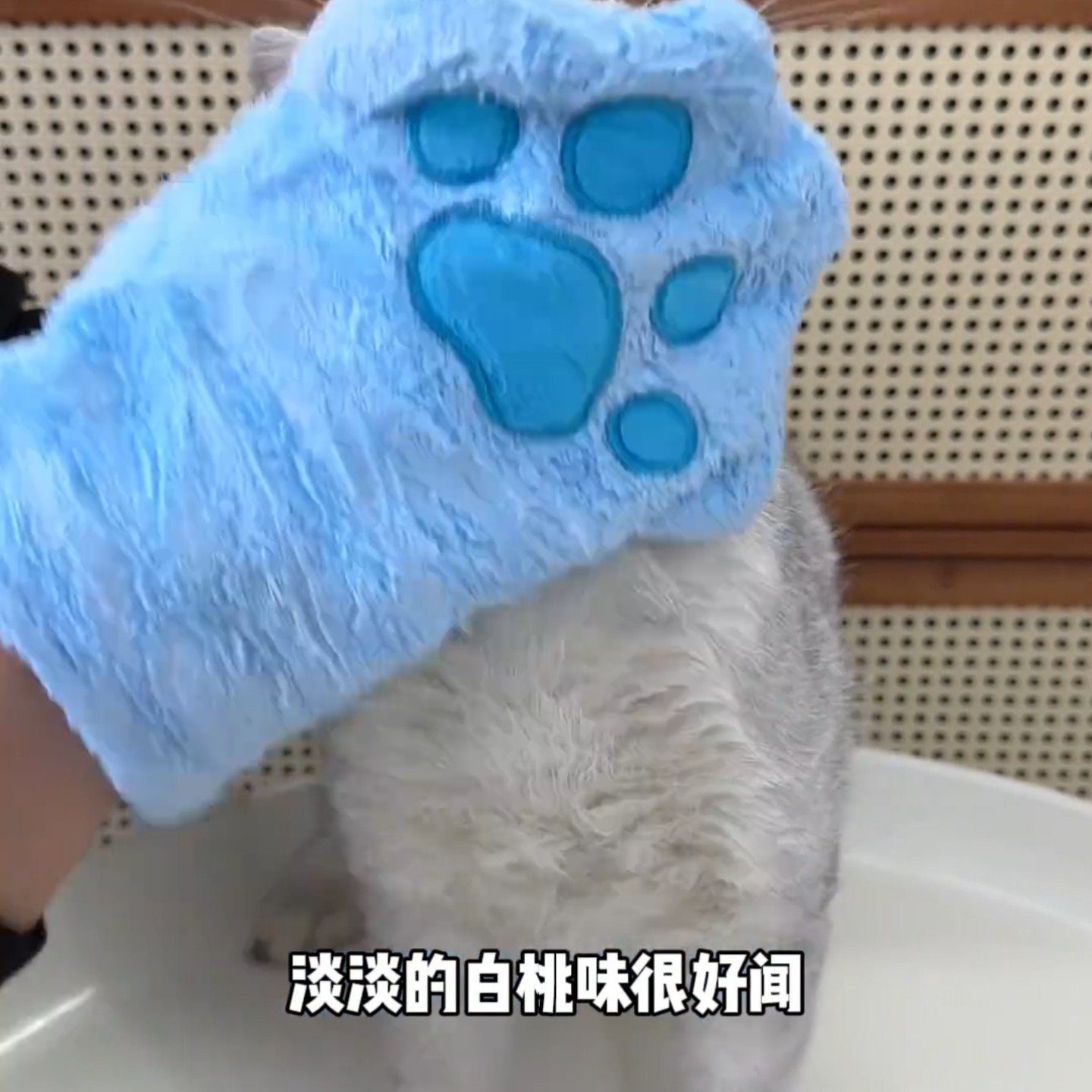 玻尿酸钠宠物免洗擦浴精华猫狗洗澡清洁香波保湿除臭精华洗护用品,淘宝优惠券,粉丝福利购,淘宝优惠卷