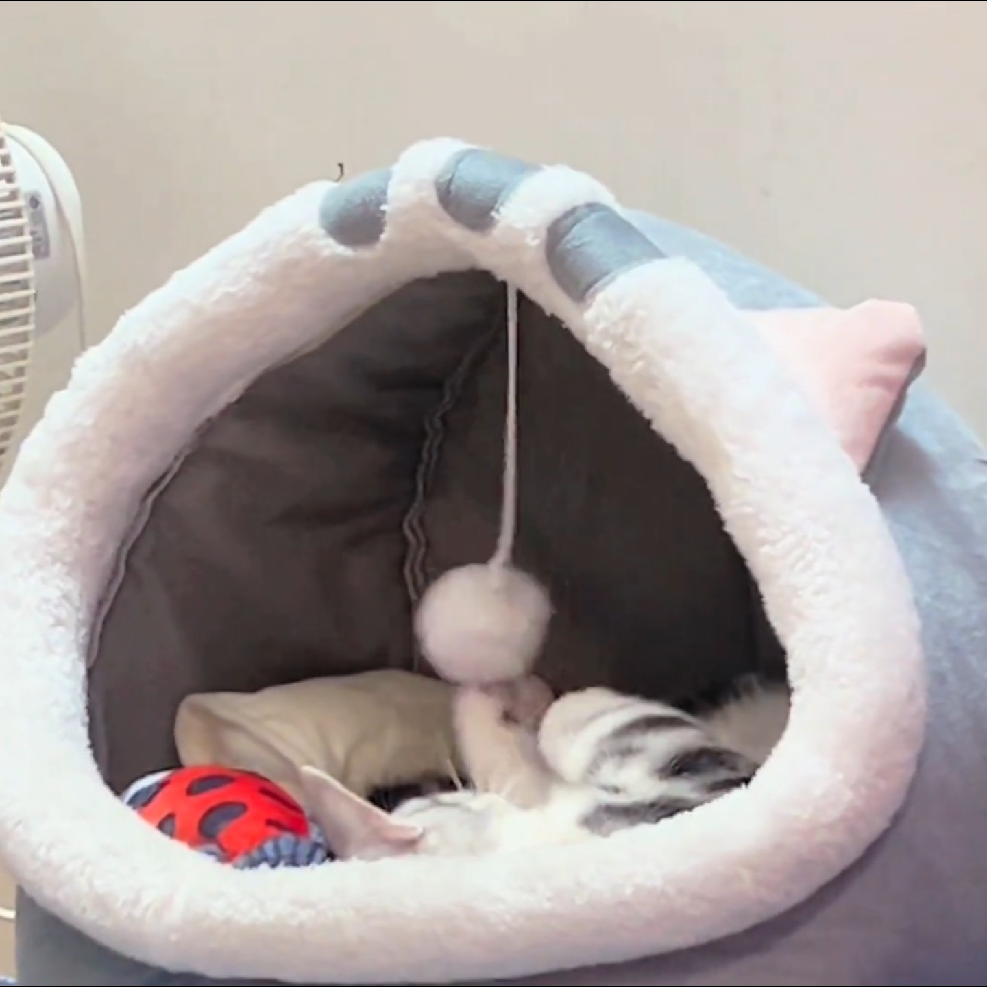 半封闭猫窝狗窝粉色兔子猫屋宠物四季通用睡觉的窝毛绒别墅保暖床,淘宝优惠券,粉丝福利购,淘宝优惠卷