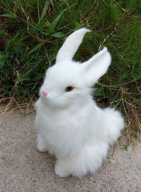 四色可选仿真大蹲兔仿真皮毛动物