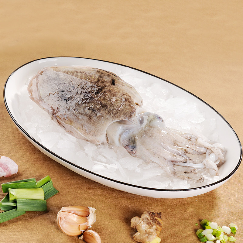 黄渔国墨鱼鲜活大号乌贼新鲜冷冻净目鱼墨斗鱼500g真空一斤装,淘宝优惠券,粉丝福利购,淘宝优惠卷