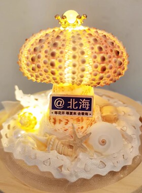 涠洲岛海胆灯成品特色伴手礼