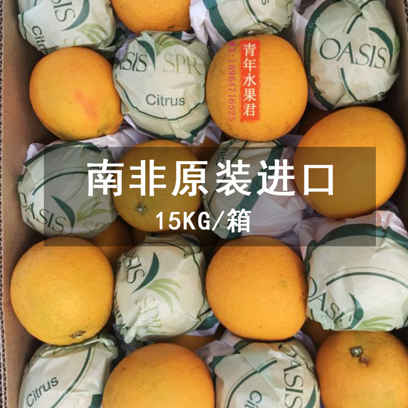 南非原装进口水果夏橙埃及新鲜饮品橙子榨汁脐