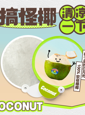 搞怪椰子情侣创意夏天迷你折叠随身携带扇子反光板便携团扇礼品