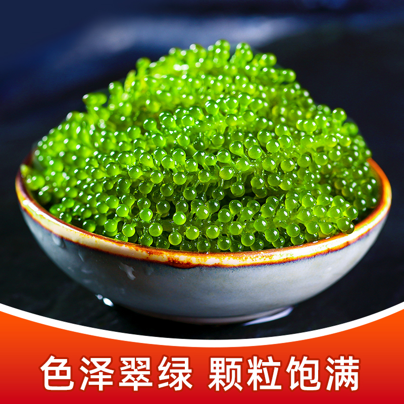 儿童海葡萄口口爆汁盐渍海洋蔬菜植物鱼子酱海藻带菜水葡萄海草