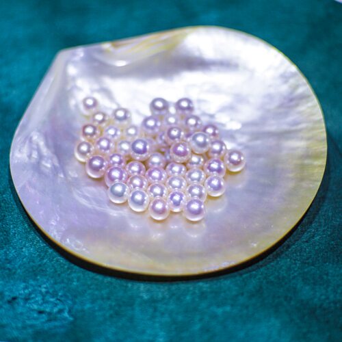 珍珠日誌 直播专用秒杀链接 - 图1