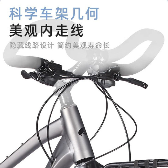 Fujita travel road bike 22-speed butterfly handlebar