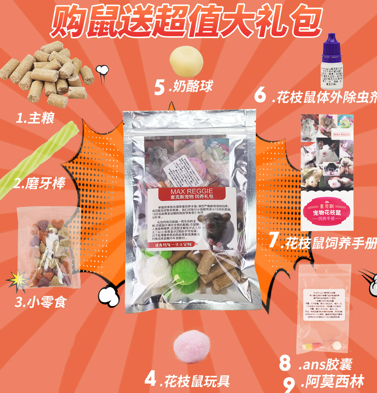 麦克斯花枝鼠活物活体宝宝大体宿舍小宠物用品笼飞象耳家养幼鼠,淘宝优惠券,粉丝福利购,淘宝优惠卷