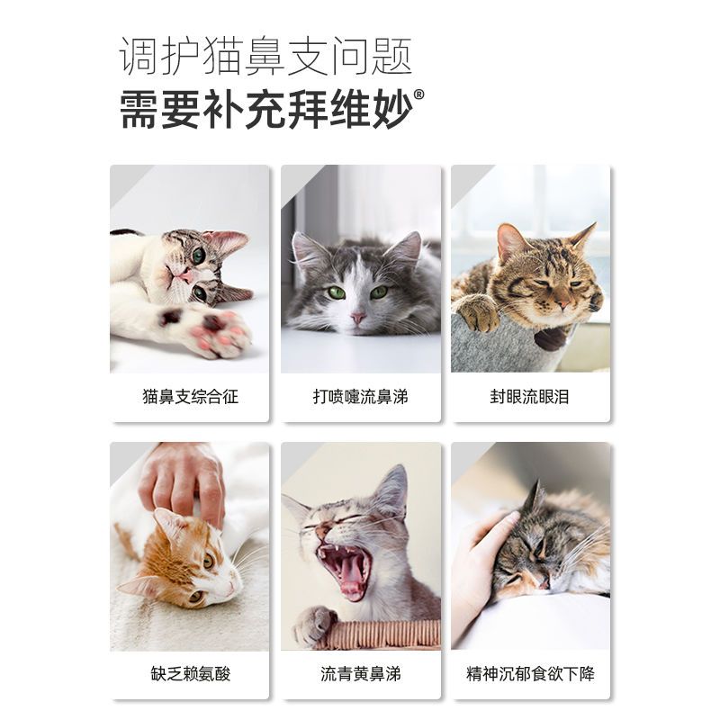 拜卡拜维妙猫鼻支赖氨酸缓解猫咪鼻支猫氨猫咪用感冒打喷嚏流眼泪-图0