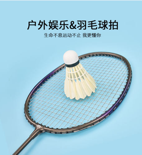 羽毛球拍学生碳素羽毛球拍羽毛球拍成人羽毛球拍 - 图0