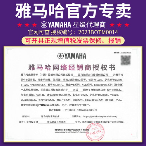 雅马哈竖笛8孔德式/英式YRS-23G/24B高音笛子儿童乐器学生初学C调 - 图0